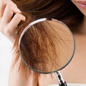 Shampooings cheveux secs