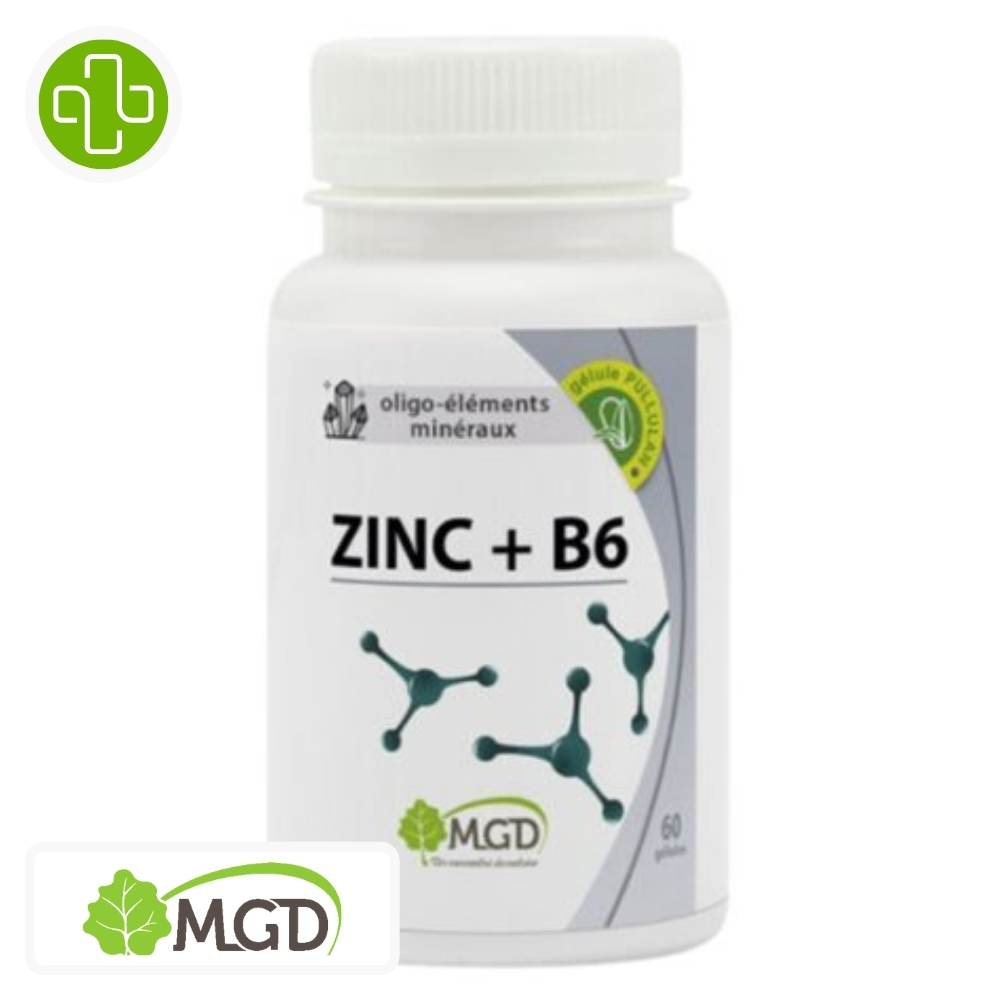Mgd zinc + b6 60 gellules