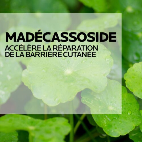 La Roche Posay Cicaplast Baume B5 Baume Reparateur Apaisant 100ml 9