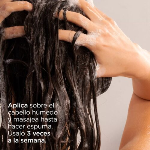Isdin Shampoo Shampoing Nutradeica Antipeliculaire Pellicules Grasses 200ml 3