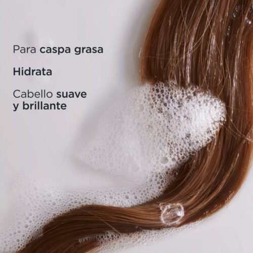 Isdin Shampoo Shampoing Nutradeica Antipeliculaire Pellicules Grasses 200ml 6