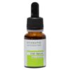 HT Ceutic C30 Sérum Antioxydant - 15ml
