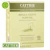 Cattier Argile Verte Surfine Bio - 1kg