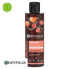 Centifolia Volume Absolu Shampoing Matière et Vitalité Bio - 200ml