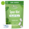 Denti Smile Smile Gum Chewing-Gums Goût Menthe Fraîche sans Sucres – 32u