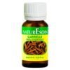 NaturEsoin Huile Essentielle de Cannelle - 10ml