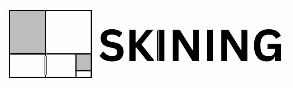SKINING