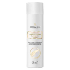 Dermalium Shampoing Cheveux Secs Et Abimes 250ml