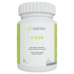 GliSODin V-SOD - 60 Gélules
