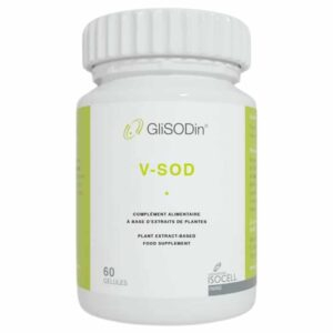 Glisodin V Sod 60 Gelules
