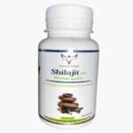 Health Power Shilajit Bio - 60 Gélules