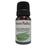 Naturo Pathica Huile Essentielle d'Eucalyptus - 10ml