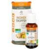 Lemon Pharma Ginjer Gouttes Forte Bio - 20ml