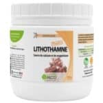 MGD Lithothamne Poudre 250 gr