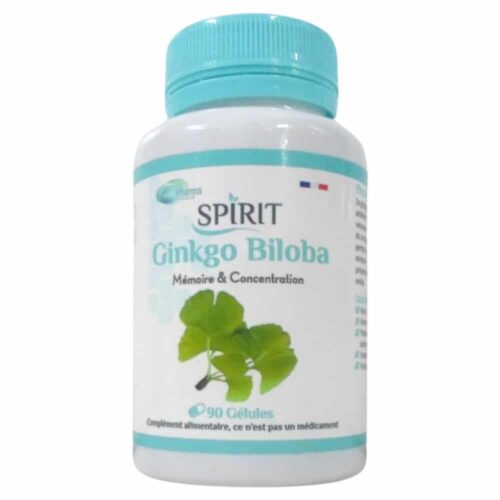 Spirit Ginkgo Biloba 90 Gelules