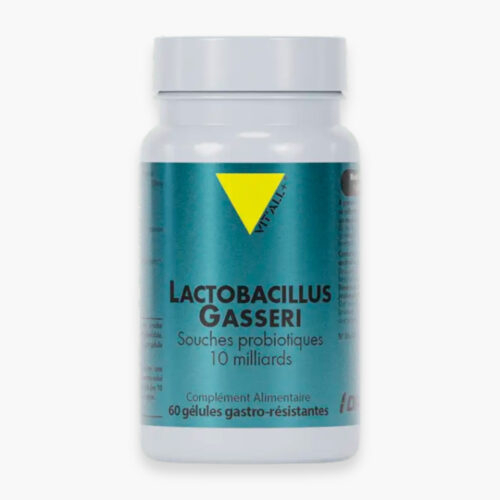 Vitall Lactobacilius Gasseri 100mg Souches Probiotiques 10 Milliards 60 Gelules