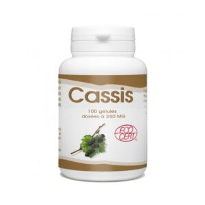 Gph Diffusion Cassis 100 G2lules 250mg