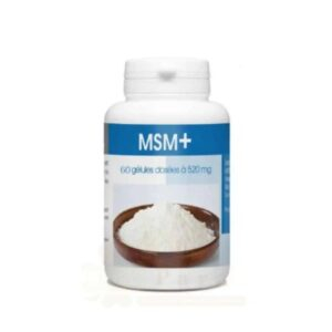 Gph Diffusion Msm 520mg 60gelules