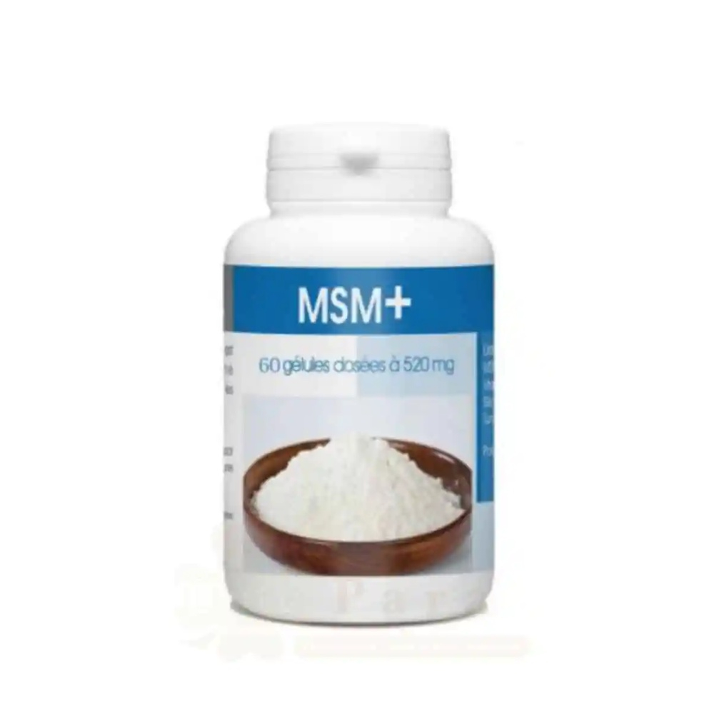 Gph Diffusion Msm 520mg 60gelules