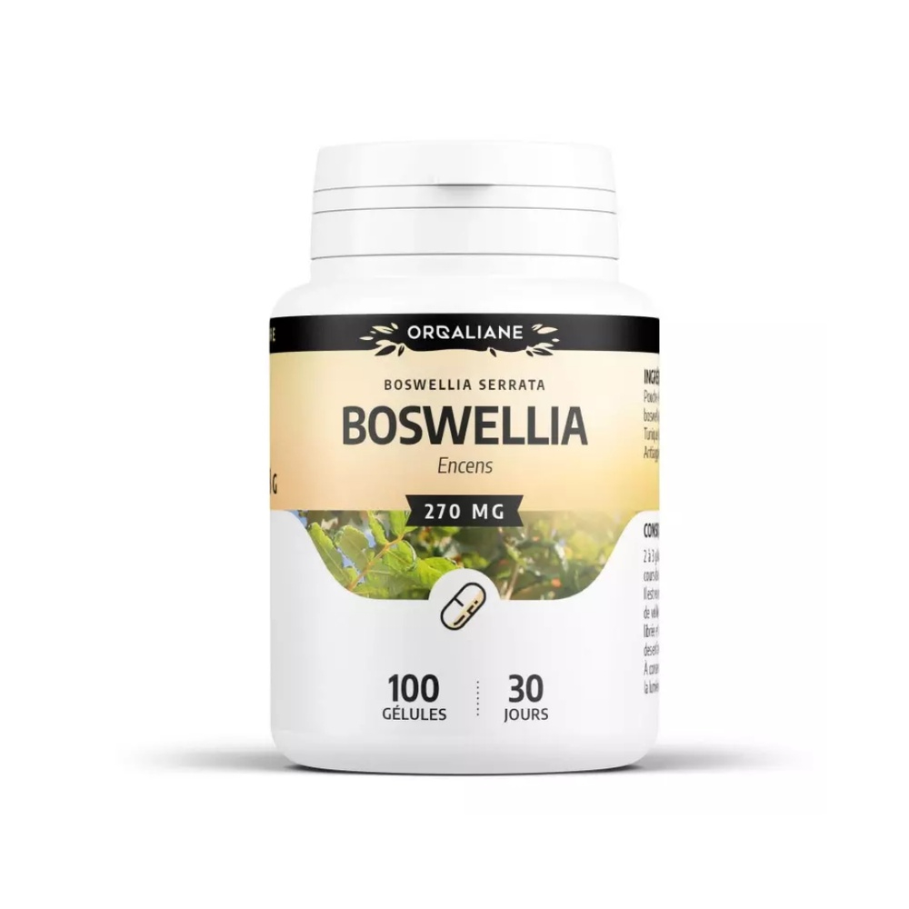 Orgaliane Boswellia Encens Extrait 100 Gelules