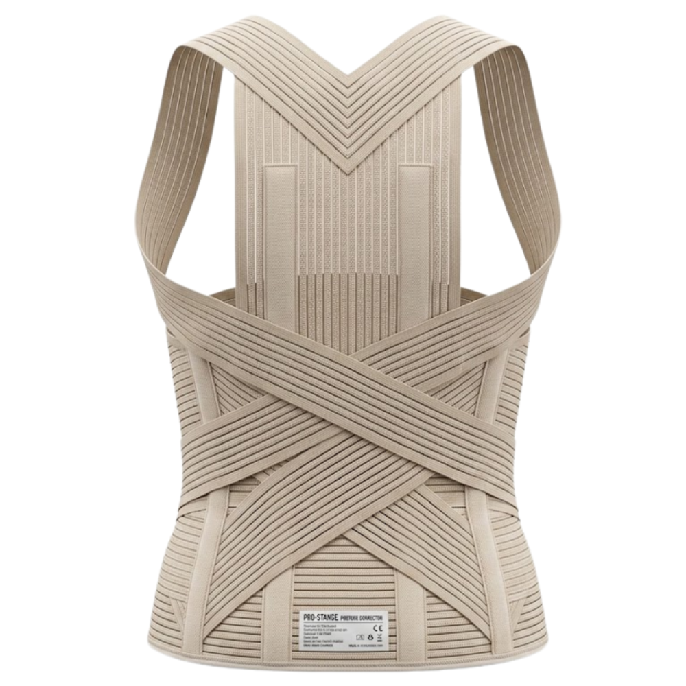 Point Corset Dorso Lombaire Avec Ceinture Standard Reference 272