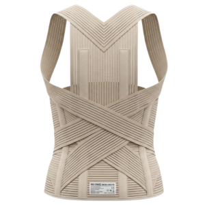 Point Corset Dorso Lombaire Avec Ceinture Standard Reference 272
