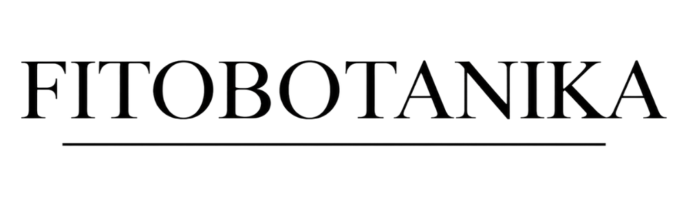 FITOBOTANIKA